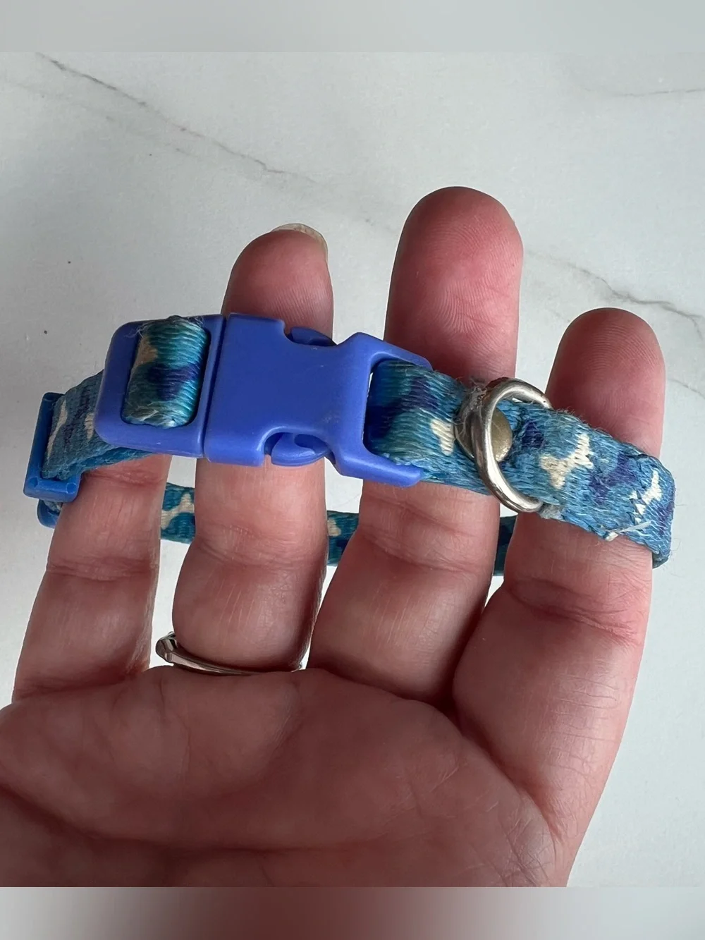 Blue Bone-Print Dog Collar - Adjustable Comfort